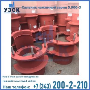 Сальники нажимные серия 5.900-3 в Ижевске